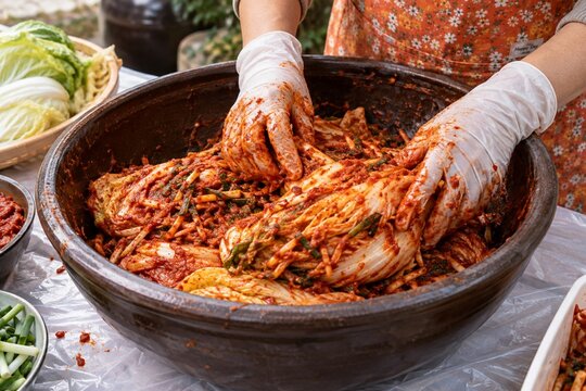 Traditional Korean kimchi preparation with napa cabbage