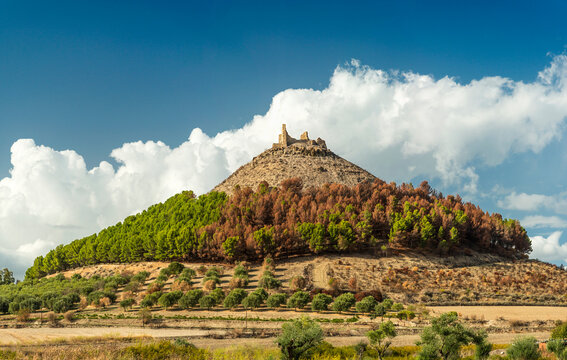 Italy, Sardinia.  Ruins of 10th Century Castello di Marmilla atop of a hill.  The trees on the slope below are brown from a previous wildfire.