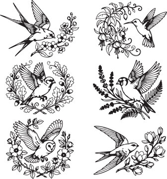 set of hand drawn birds