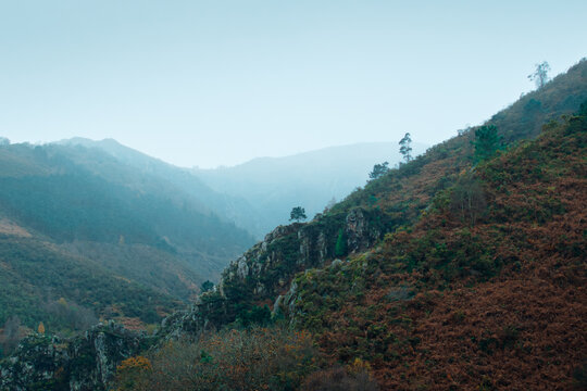 A wide landscape photograph of a foggy mountain valley with steep, rocky slopes covered in autumnal bracken and scattered pine trees.