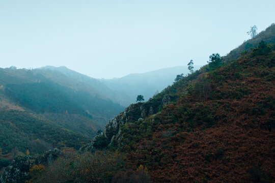 A wide landscape photograph of a foggy mountain valley with steep, rocky slopes covered in autumnal bracken and scattered pine trees.