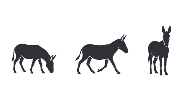 Three donkey silhouettes in various poses including grazing and walking are perfect for farm or animal conservation themes.