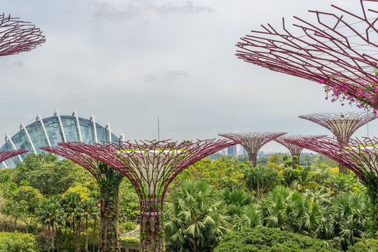 Singapore-February 27, 2026: The iconic Gardens by the Bay urban botanical park featuring artificial supertree ecosystems.
