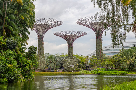 Singapore-February 27, 2026: The iconic Gardens by the Bay urban botanical park featuring artificial supertree ecosystems.