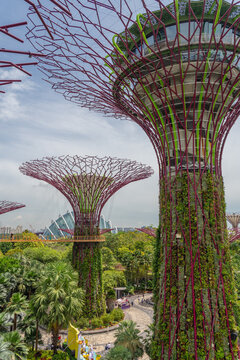 Singapore-February 27, 2026: The iconic Gardens by the Bay urban botanical park featuring artificial supertree ecosystems.