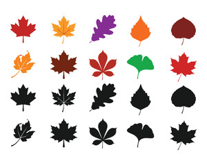 Fototapeta premium Autumn Fall Leaves Silhouette and Colorful Leaf Icon Set