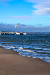 beach and sea © Daria