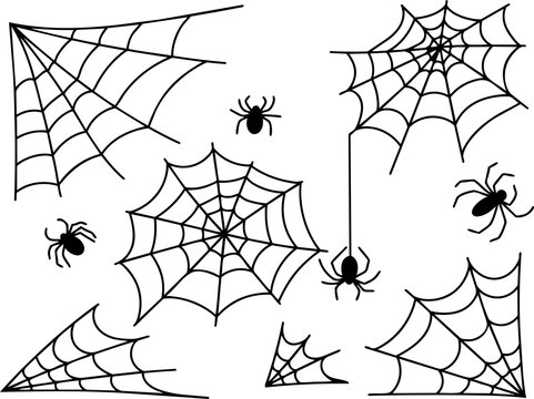 Collection of various black and white hand drawn spider webs and spiders
