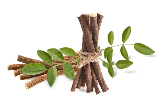 licorice branch  with leaves and roots