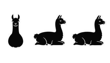 Fototapeta premium Three black silhouettes of llamas showing one front view and two side views of them sitting down on a white background.
