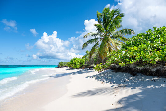 Tropical Shoal Bay Beach in Anguilla, Caribbean