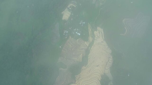 Professional drone B-roll of colorful rice fields in Camarines Sur, Philippines, featuring vivid green vegetation alongside mature golden-yellow rice. The overhead perspective reveals detailed fields.