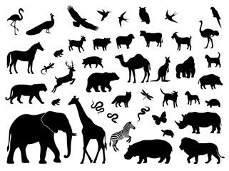 Fototapeta premium Black animal silhouettes collection, wild fauna and zoo creatures set, diverse nature wildlife vector icons for educational design