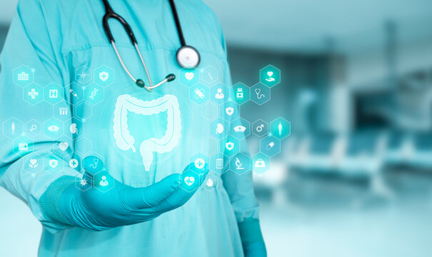 Innovation in digestive health and gastroenterological technology. The specialist displays a graphic representation of the large intestine against a bokeh background. Isolated.