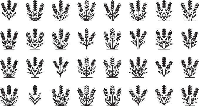 Set of black and white lavender flower icons in a simple flat line art vector style