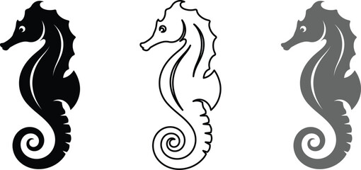 Three seahorse illustrations in black white and gray tones side by side © MstHamida