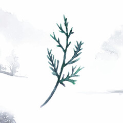 Fototapeta premium Hand-drawn cedar branch watercolor style vector