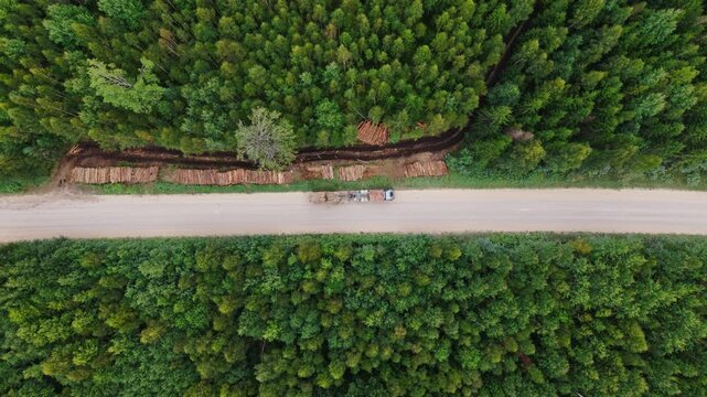Top down aerial view tracks timber truck beside log stacks in green forest