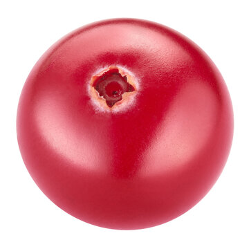 Organic single cranberry berry close up. Cranberries isolated on white background with clipping path. Professional food photography