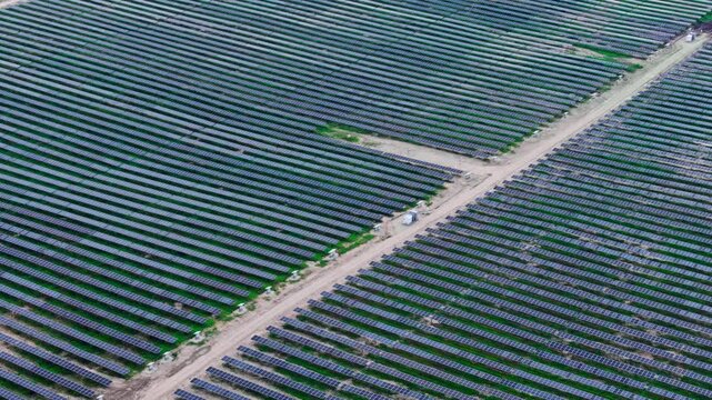 Aerial view reveals dense photovoltaic rows split by a pale service road