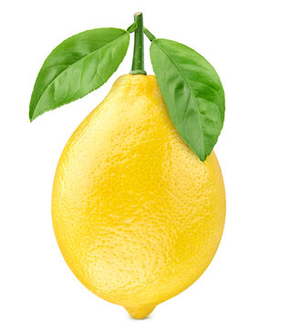 Fresh whole yellow lemon with green leaf macro photo isolated on white background. Juicy citrus for packaging with clipping path. Full depth of field