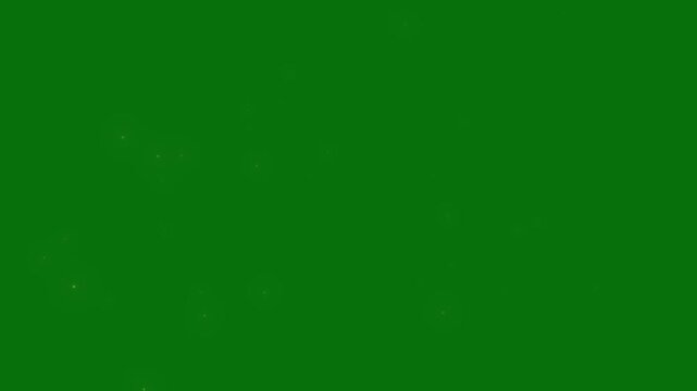 Glittering White glowing twinkling glitter star, magic sparkles glitter burst stars, White glitter sparkles trail, glowing pixie dust burst, green screen background 4k overlay