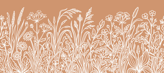 Boho floral meadow grass horizontal seamless border. white outline chamomile, wheat spikelet, wild flower, terracotta. for bohemian cosmetic packaging, rustic banner. botanical vector pattern. © ARTIST LAB