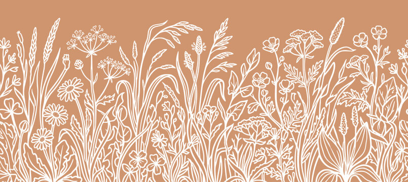Boho floral meadow grass horizontal seamless border. white outline chamomile, wheat spikelet, wild flower, terracotta. for bohemian cosmetic packaging, rustic banner. botanical vector pattern.