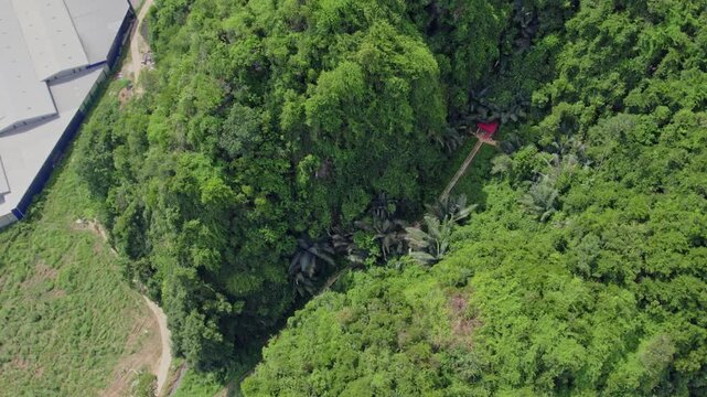 Top-down drone footage reveals a narrow stairway almost hidden beneath a thick canopy of tropical trees while climbing a forested mountain.