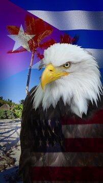 American bald eagle with a United States flag overlay representing political tensions and conflict with Cuba, symbolized by its flag and a tropical beach with palm trees in the background