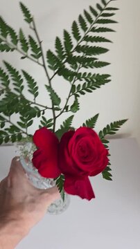 vaso de planta com rosas decora&ccedil;&atilde;o dentro de casa 