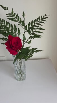 vaso de planta com rosas decora&ccedil;&atilde;o dentro de casa 