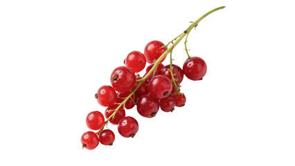 Bunch of fresh red currant berries crop isolated on transparent background © Olga