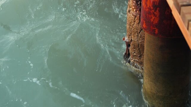 Sea water splashing against old rusty pier pillar, waves hitting wooden dock support, coastal video footage. High quality 4k footage