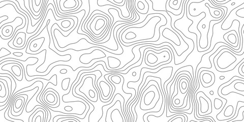 Elegant topography line pattern background, abstract geographic mapping lines with smooth organic curves, for presentation, cover and web banner. © Moyna