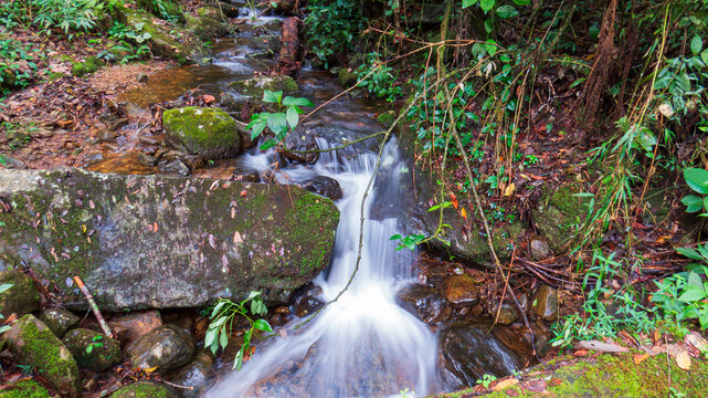 Bridal veil effect waterfall flowing over moss covered rocks in a tropical rainforest.