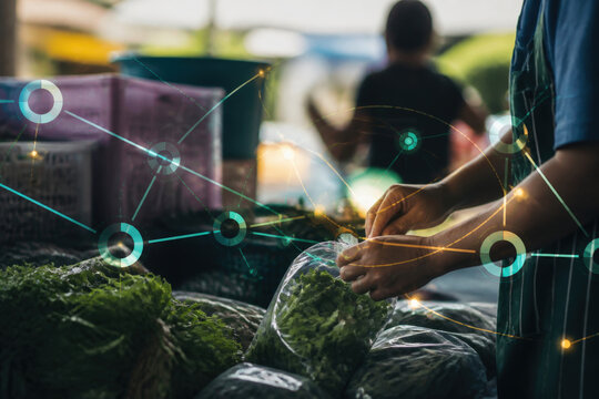 Microfinance Business Network for Community Lending and Financial Inclusion