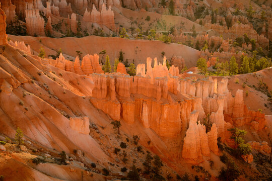 Sunrise Glow - Bryce Canyon National Park