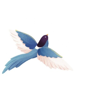 vector illustration of a flying bird
