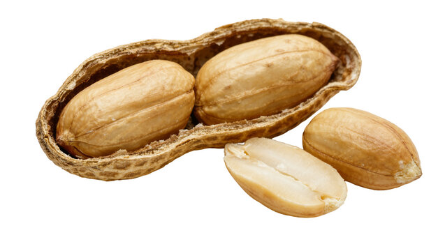 Open peanut shell with two whole peanuts inside and two shelled peanuts nearby, isolated on transparent background