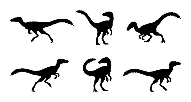 Dinosaur Silhouettes: Velociraptor Poses, Prehistoric Creature Vector Icons, Ancient Reptile Graphics