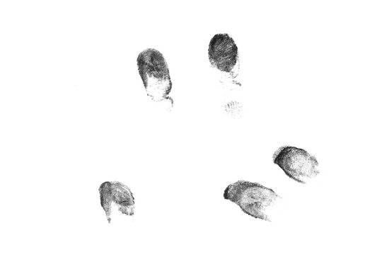 Collection of dark gray fingerprint impressions scattered on transparent background, forensic identity texture.