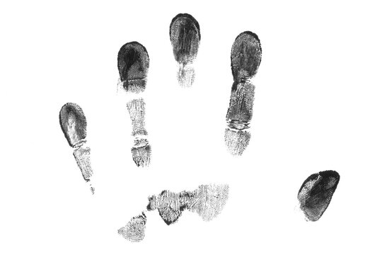 Black fingerprint, isolated on a transparent background. PNG