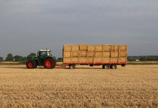a tractor drives with a long wagon with big square bales in a field in the countryside in summer