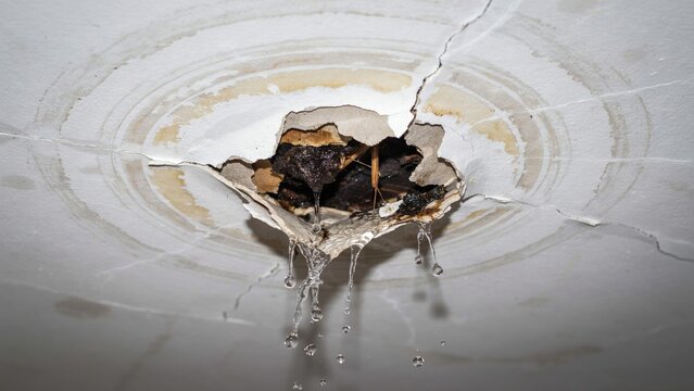 Water damage on a ceiling with peeling paint and a broken hole above dripping wet plaster