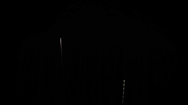Digital fireworks display with glowing light trails on black background