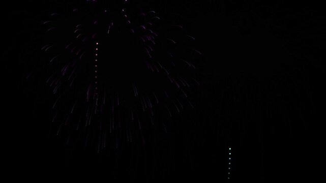Colorful fireworks display in the night sky