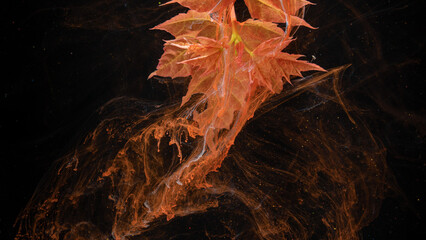 Orange autumn leaf submerged in swirling ink on black background, close up macro detail © ossyffer