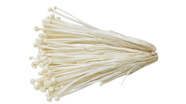 Isolated cluster of delicate enoki mushrooms, healthy natural food ingredient for recipes