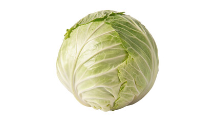 Fototapeta premium Whole fresh green cabbage head vegetable crop isolated on transparent background